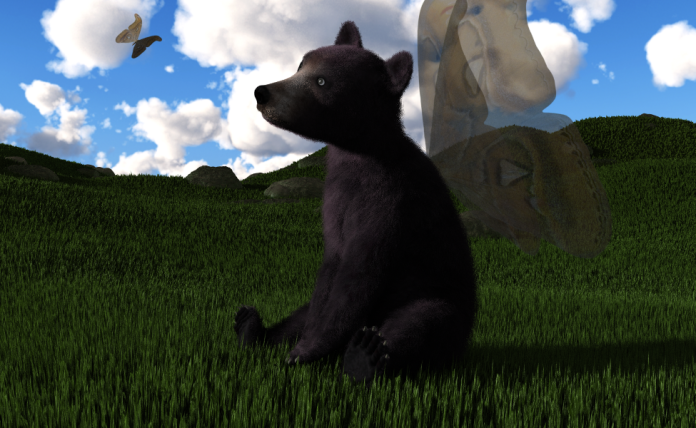 bear-with-imagination-and-sky-small